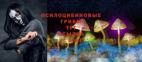 спиды Дмитров