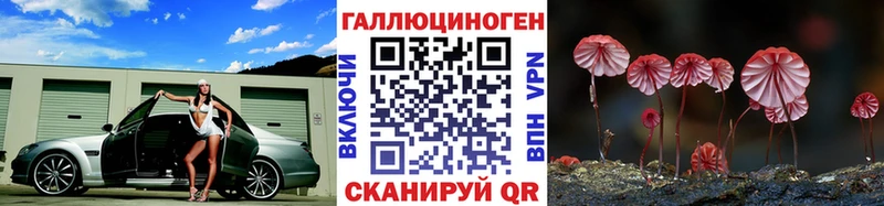 блэк спрут онион  Чухлома  Галлюциногенные грибы Cubensis  купить  
