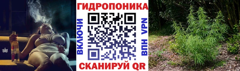 Каннабис планчик  Чухлома 